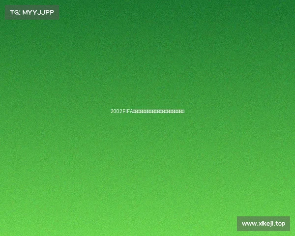 2002FIFA世界杯韩国赛场修改器全面解析与实战使用指南